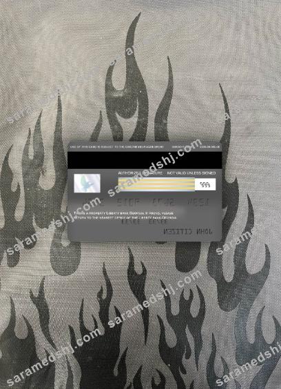 Georgia Liberty bank visa platinum card photolook back